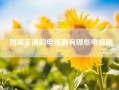 刘涛主演的电视剧有哪些电视剧?刘涛最新的电视剧叫什么名字?