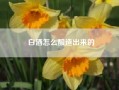 白酒怎么酿造出来的—白酒是怎么酿出来的？