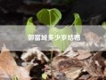 郭富城多少岁结婚?郭富城56岁近照出炉，你觉得他的状态如何?