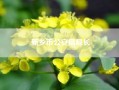 新乡市公安局局长(河南新乡公安局新上任局长电话)