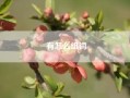 有怎么组词~~姿能组什么词