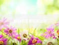 烟台市芝罘区怎么读？烟台市几个区拼音？