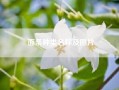 面条种类名称及图片_面条种类有哪些 中外著名的面条介绍?