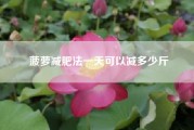 菠萝减肥法一天可以减多少斤（每天吃一个菠萝能减肥吗）