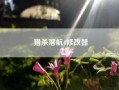 猎杀潜航4修改器（猎杀潜航4有那些种类的任务，怎么完成？完成后该怎么办）