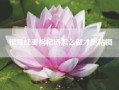 银耳红枣枸杞汤怎么做才更粘稠~银耳红枣枸杞汤的做法