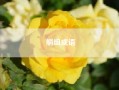 艄组成语？艄组词和拼音 艄字读音及解释？