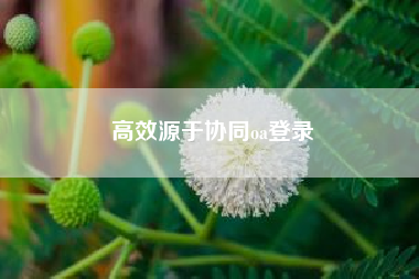 高效源于协同oa登录？懂视生活？
