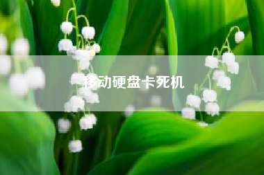 移动硬盘卡死机。东芝移动硬盘输入密码卡死?
