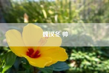 魏汉冬 帅；草莓是什么上单?