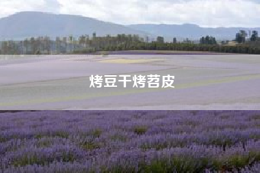 烤豆干烤苕皮，烤豆干怎么做