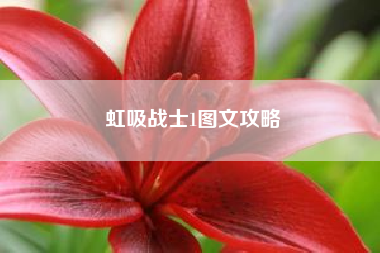 虹吸战士1图文攻略——psp最终幻想1代四个最好什么职业？