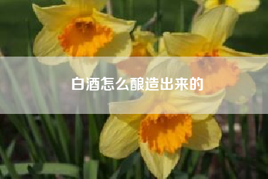 白酒怎么酿造出来的—白酒是怎么酿出来的？