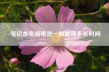 笔记本电脑电池一般能用多长时间(第一次遛狗多长时间)