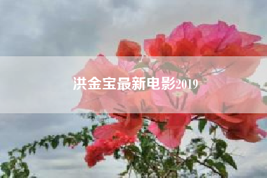 洪金宝最新电影2019？香港导演洪金宝电影大合集  有没有相关的影视百度网盘资源？