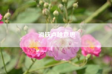 滑铁卢啥意思?滑铁卢是什么意思?