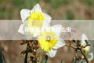 茚虫威主要杀什么虫__茚虫威主要杀什么虫?