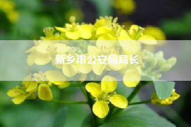 新乡市公安局局长(河南新乡公安局新上任局长电话)
