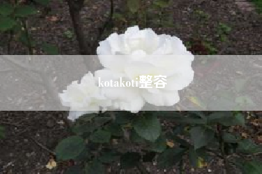 kotakoti整容……kotakoti为什么要谢谢中国？