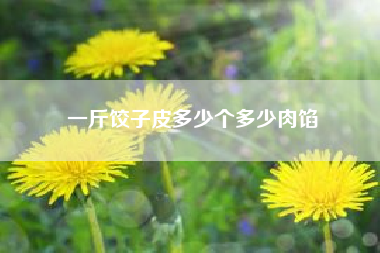 一斤饺子皮多少个多少肉馅。大家来说说，一斤饺子皮有几个?