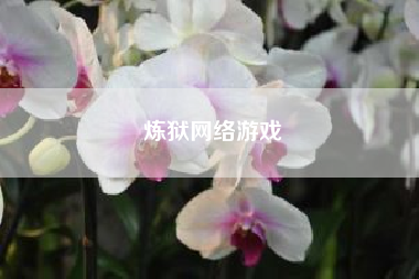 炼狱网络游戏　《神曲炼狱篇》pdf下载在线阅读，求百度网盘云资源