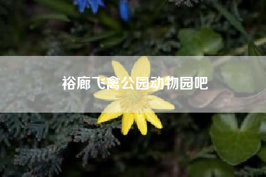 裕廊飞禽公园动物园吧，裕廊飞禽公园的其他展区？
