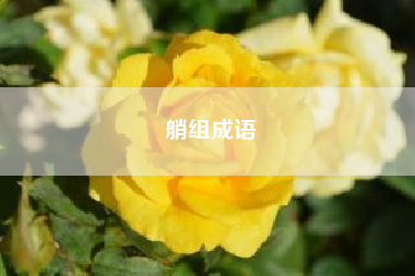 艄组成语？艄组词和拼音 艄字读音及解释？
