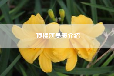 顶楼演员表介绍！顶楼韩剧演员表 顶楼韩剧简介?