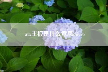 atx主板是什么意思micro；请问,电脑主板结构atx是什么意思啊