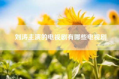 刘涛主演的电视剧有哪些电视剧?刘涛最新的电视剧叫什么名字?