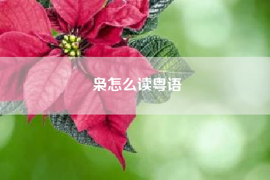 枭怎么读粤语(枭怎么读)