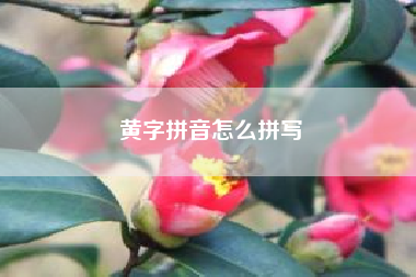 黄字拼音怎么拼写？“女“”拼音是什么？