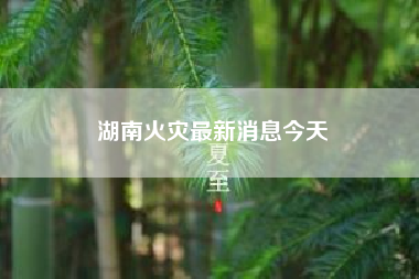 湖南火灾最新消息今天?新田火灾死了多少人口?