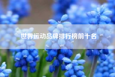 世界运动品牌排行榜前十名？世界十大品牌运动服装？
