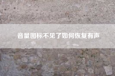 音量图标不见了如何恢复有声-电脑音量图标消失不见了怎么办？