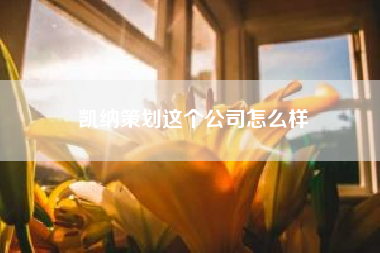 凯纳策划这个公司怎么样(学院奖的组织机构)