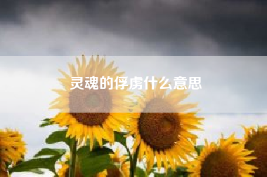 灵魂的俘虏什么意思(俘虏的意思是什么)