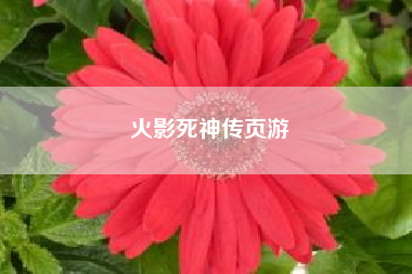 火影死神传页游 谁介绍一下（死神 火影）的同人小说啊，最好要完结的?